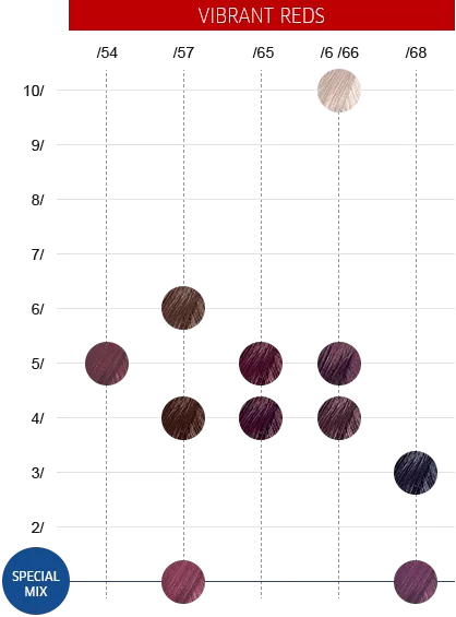 Wella Color Touch 60g - 3/66 Dark Brown Intensive Violet
