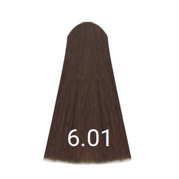 Chromatique 6.01 Natural Ash Dark Blonde